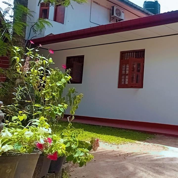 Coco One Holiday Inn Mirissa Exterior foto